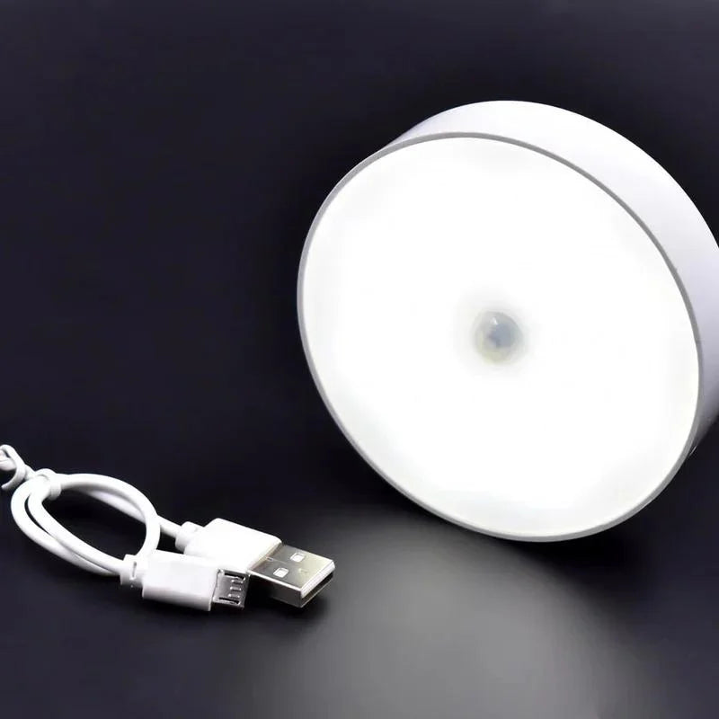 motion sensor led light