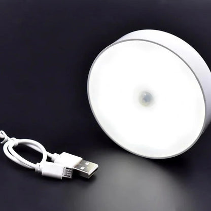 motion sensor led light